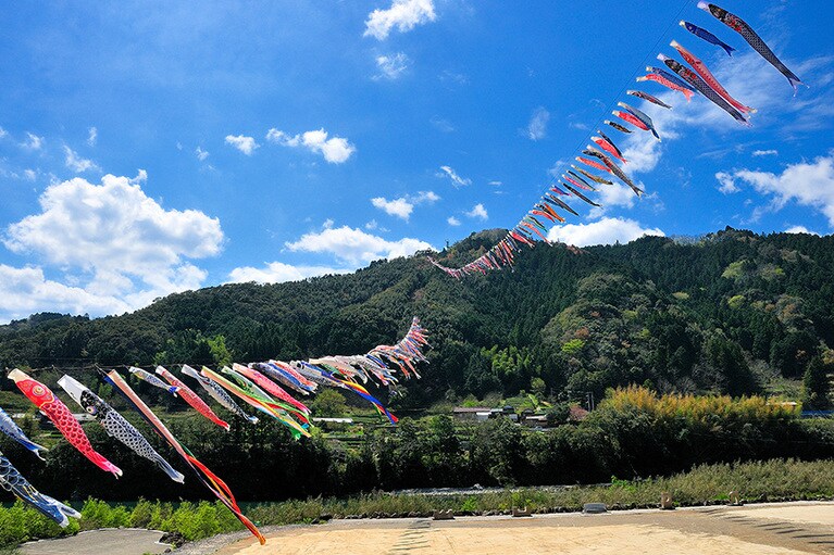 こいのぼりの川渡し。