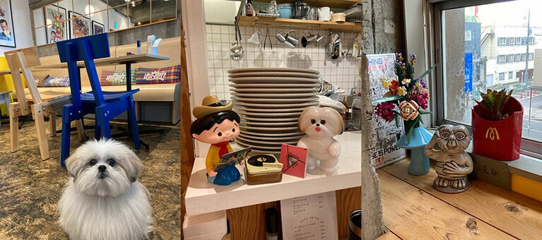 モコゾウのソフビほか、陶器のE.T.、マックのポテトみたいな鉢植えなどが並ぶ店内。