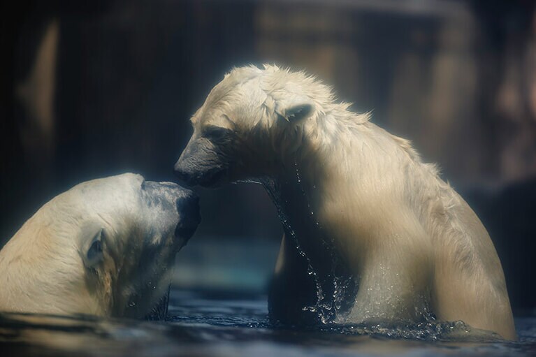 イッちゃんとライ。