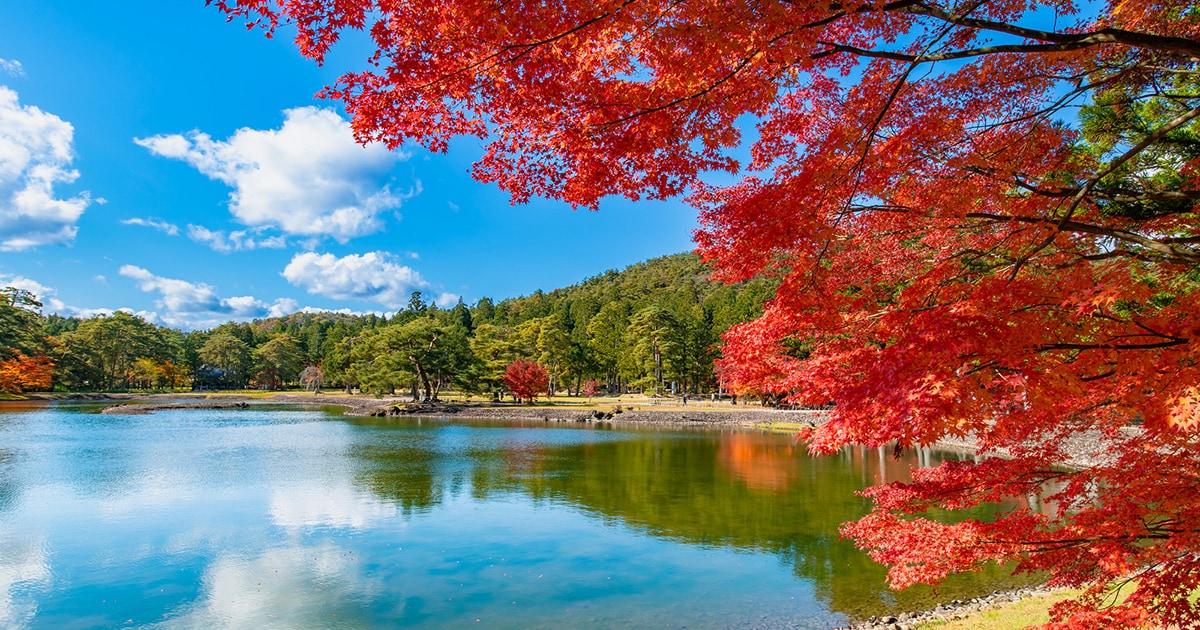 【岩手県 2023年版】 秋の絶景・風物詩10選 史跡名勝の庭園を彩る鮮やかな紅葉 | 今こそ行きたい！ 「日本にしかない風景」再発見