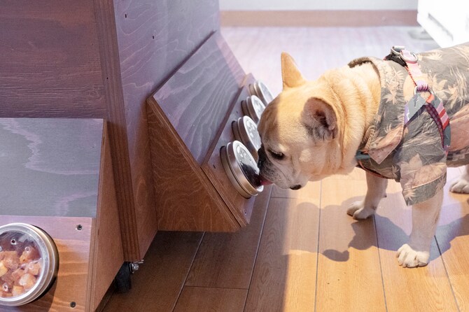おやつワゴンの下部には、ワンコが直接ケースの穴から匂いを嗅いでおやつを選べる仕掛けも。