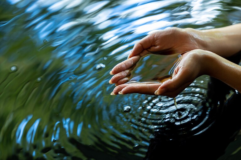 Sport & Do Resort リソルの森［千葉／紅葉乃湯］黒褐色のお湯の「紅葉乃湯」。