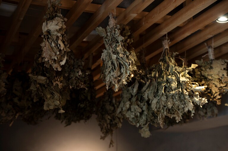 軽井沢の自然を肌で感じながら、心身をリセットしてくれるディスティネーションサウナ「kaveri」へ