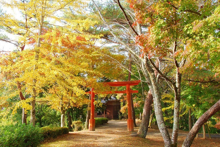 曽木の滝公園。写真協力：伊佐市役所地域振興課