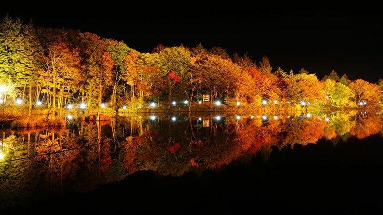 茶臼山高原の紅葉。