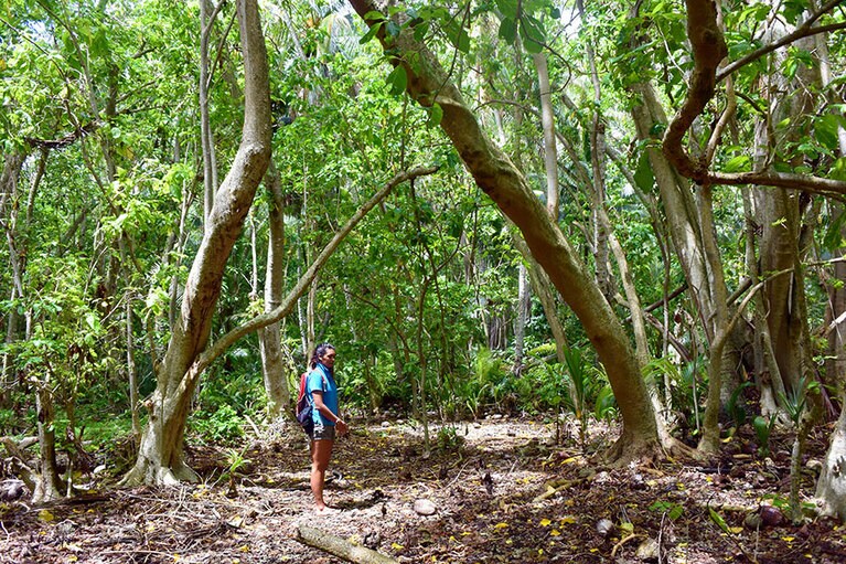 鳥たちのサンクチュアリの島にガイドと共に上陸。歩きながら、生物の営みの話を聞きます。