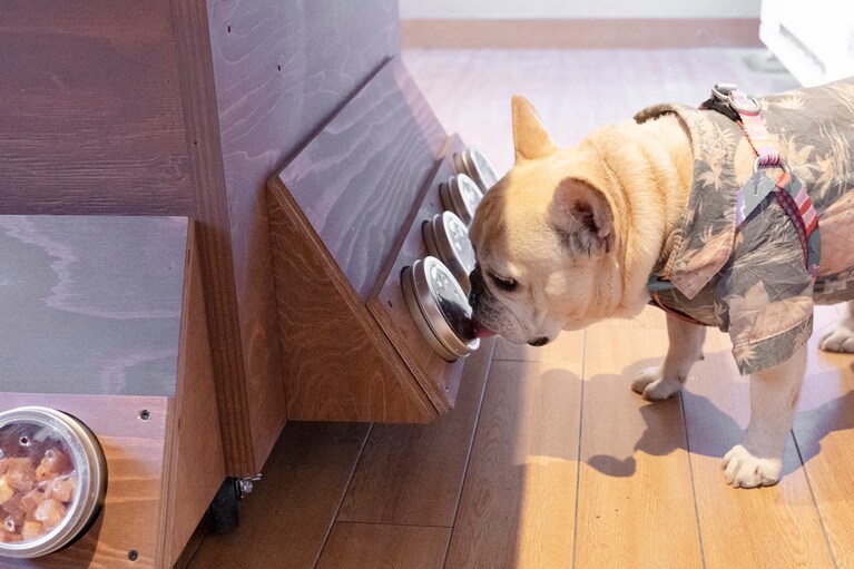 おやつワゴンの下部には、ワンコが直接ケースの穴から匂いを嗅いでおやつを選べる仕掛けも。