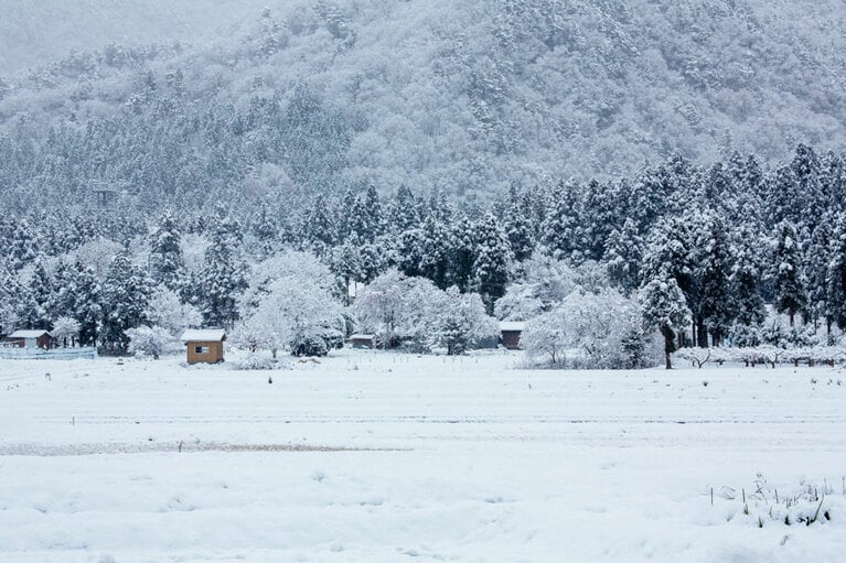 秋は稲穂で黄金色に染まる田んぼが、冬になると雪で湖のような景色に一変する。