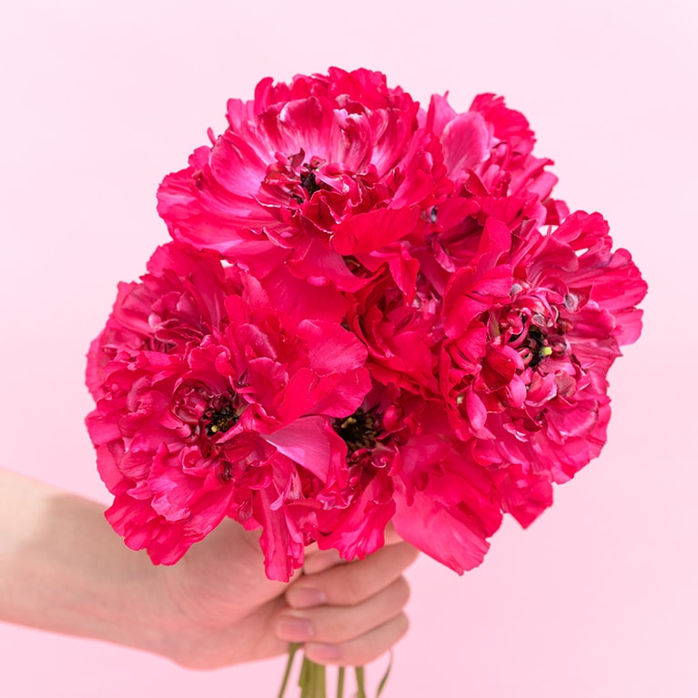 今年の春も注目のフューシャピンク。