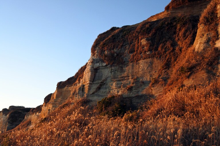 岩肌の一部には植物が勢力を伸ばしているところも。