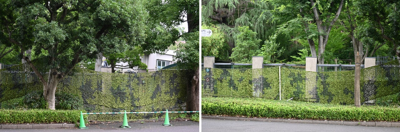 目隠しの上やすき間から、東園旧パンダ舎の建物や屋外放飼場が、わずかに見える。（2026年6月30日、筆者撮影）