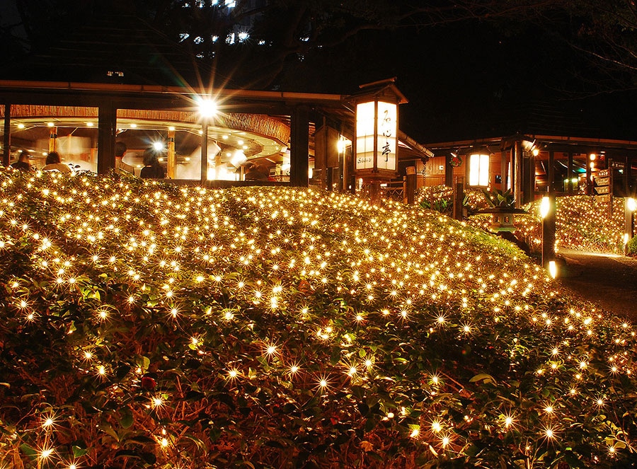 こちらも日本庭園。