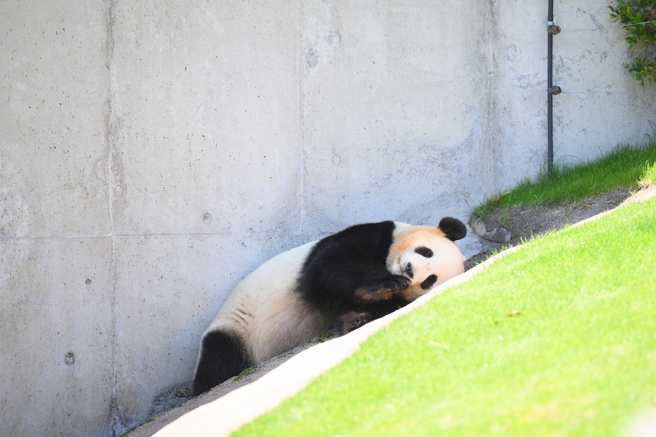 結浜。©榎本麻美