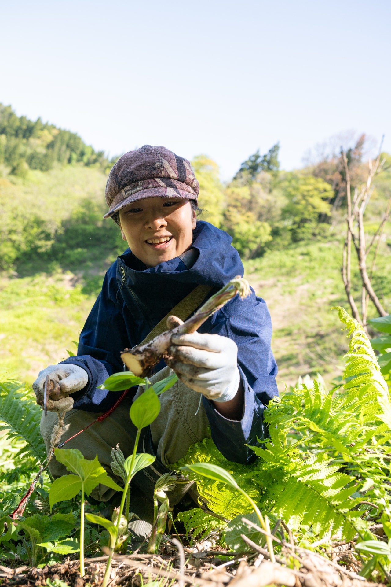 「採れたてのうどの茎は、そのまま生で食べると風味がしっかり感じられますよ」と天然のうどを愛おしそうに見つめる桑木野さん。