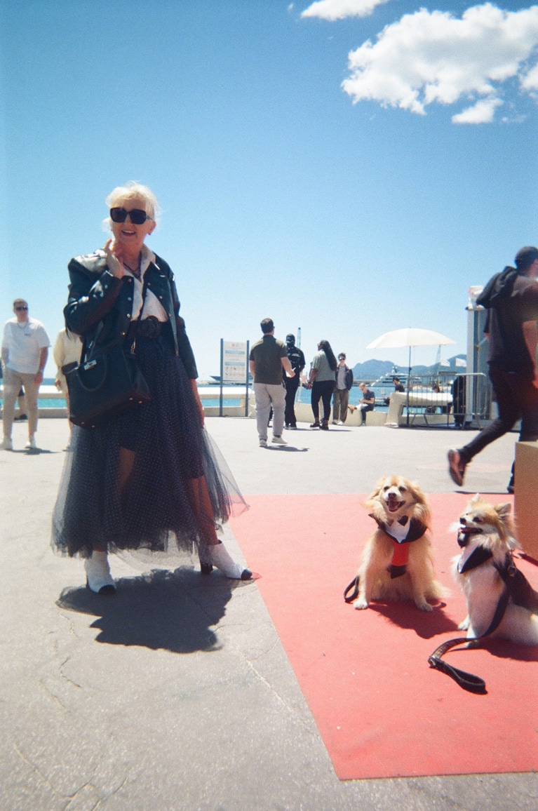 おめかしした犬を発見。