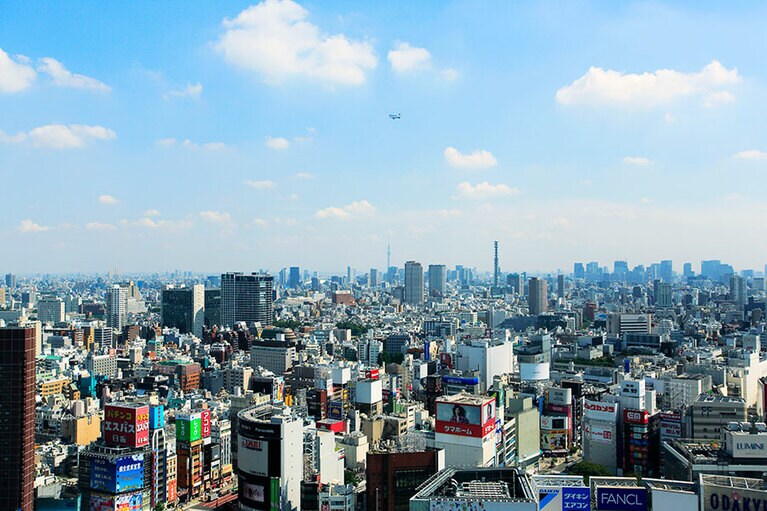これが大都会東京・新宿というラビリンス。見よ、この建物の多さ！ んもう迷うのは当たり前である。空になんか飛んでいて和む。