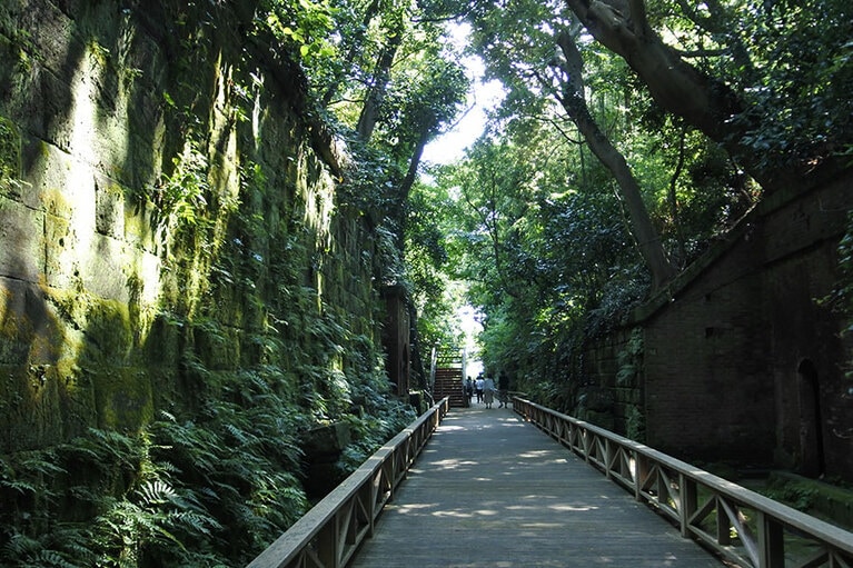 明治時代に築かれた戦跡が残されている猿島。