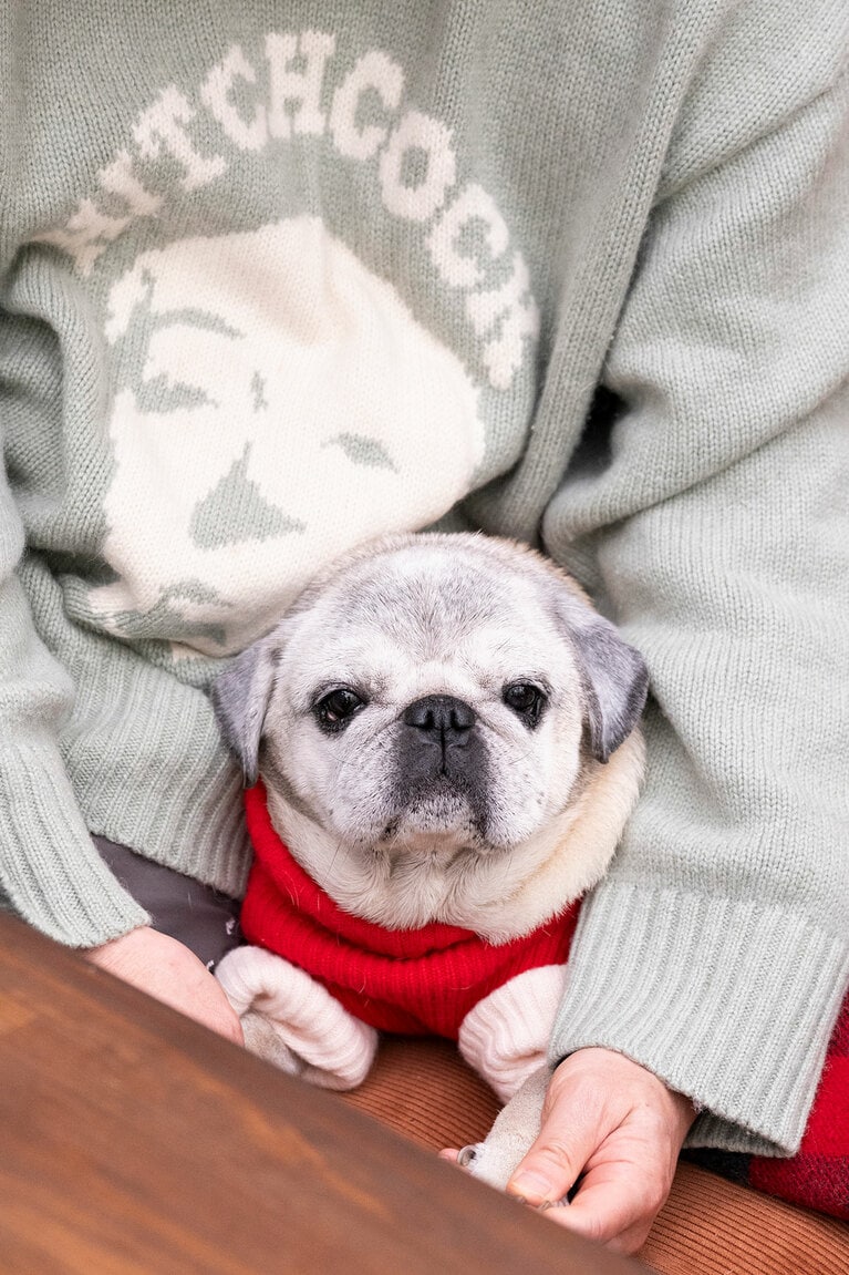 アザーカット。