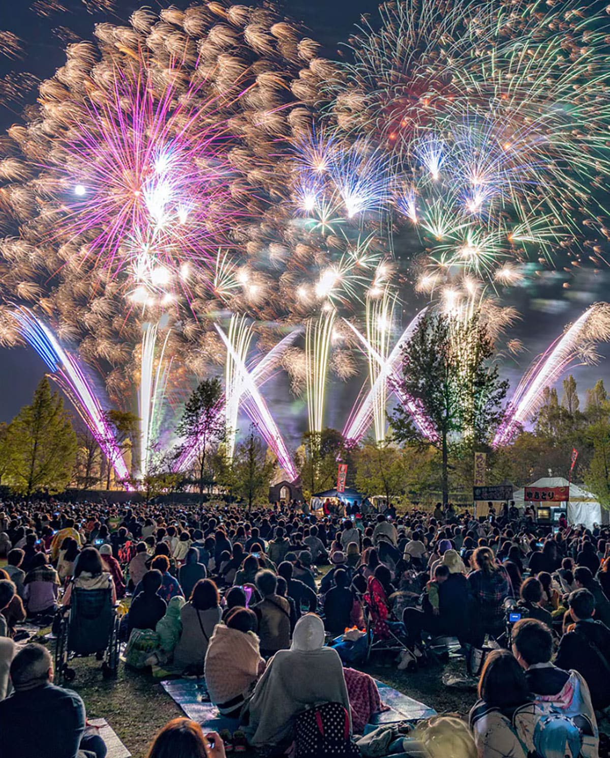 【岡山県赤磐市】ドイツの森 花火大会「森の音楽祭」。