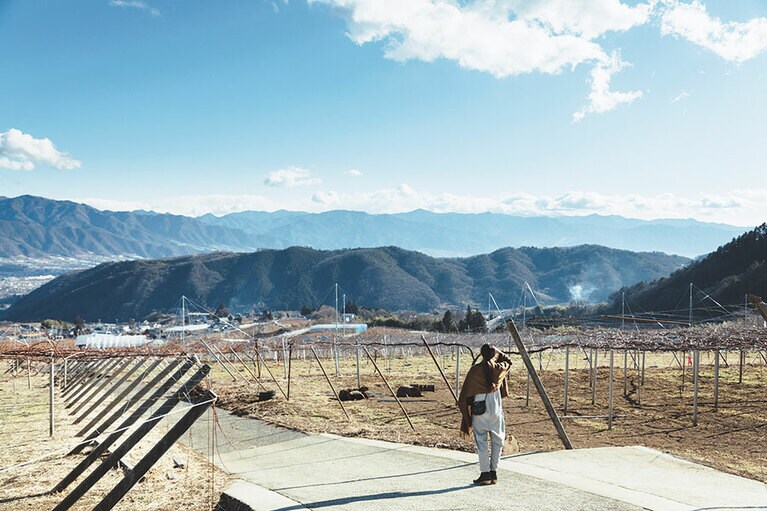 長田さんが「私のパワースポット」と呼ぶ、山梨市牧丘町のフルーツライン沿いの展望スポット。なだらかな丘沿いにはぶどう棚が続き、晴れた日には山並みの向こうに富士山が望める。