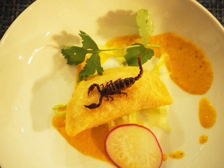 ロスカボスのレストラン「テナンゴス」で取材のために特別に用意されたサソリ。高級珍味。