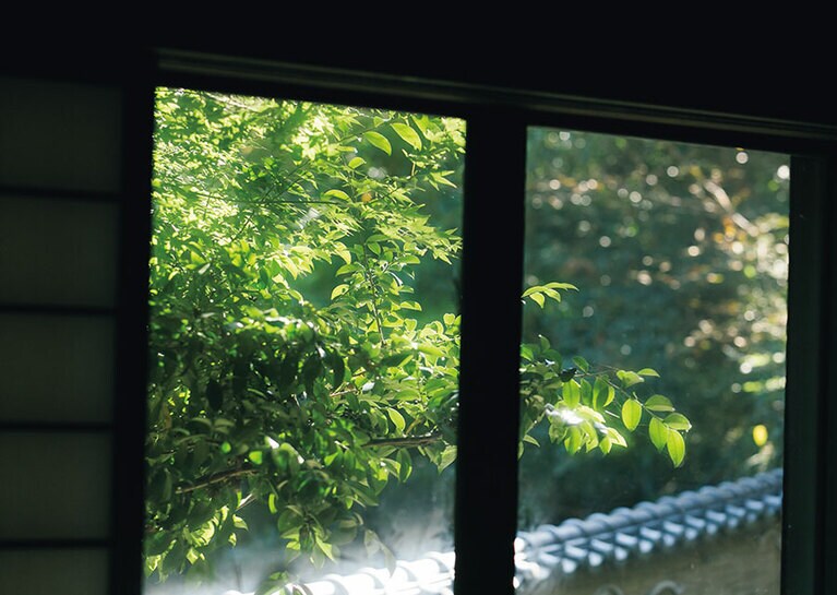 部屋からの眺めはすべて川と緑。（壁湯天然洞窟温泉 旅館 福元屋　大分）