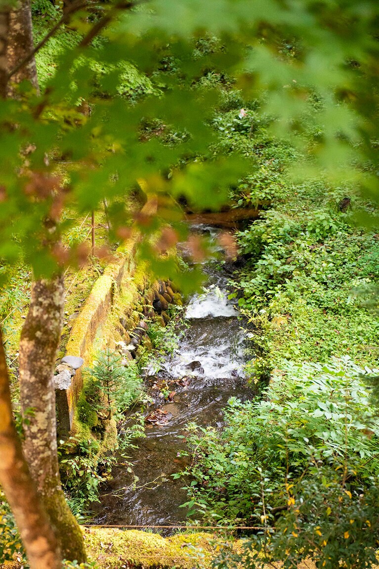 音にも癒やされます。