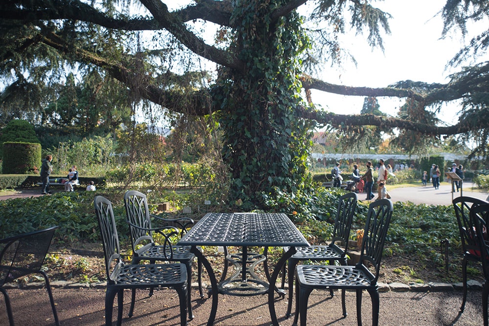 ばら園にはガーデンテーブルも用意されている。