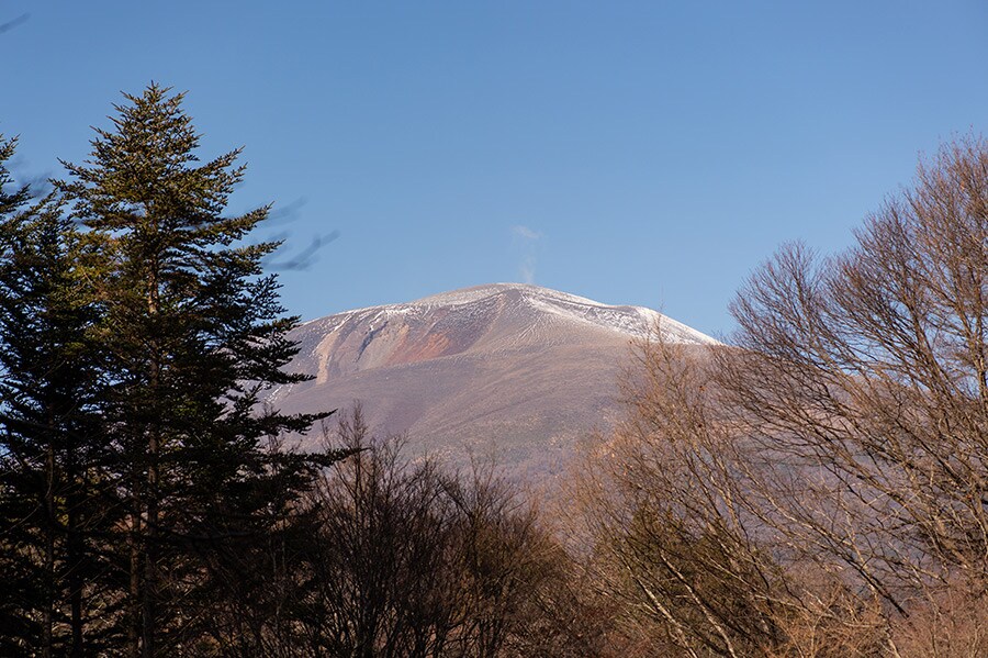「軽井沢野鳥の森」から望むのは、堂々たる浅間山。