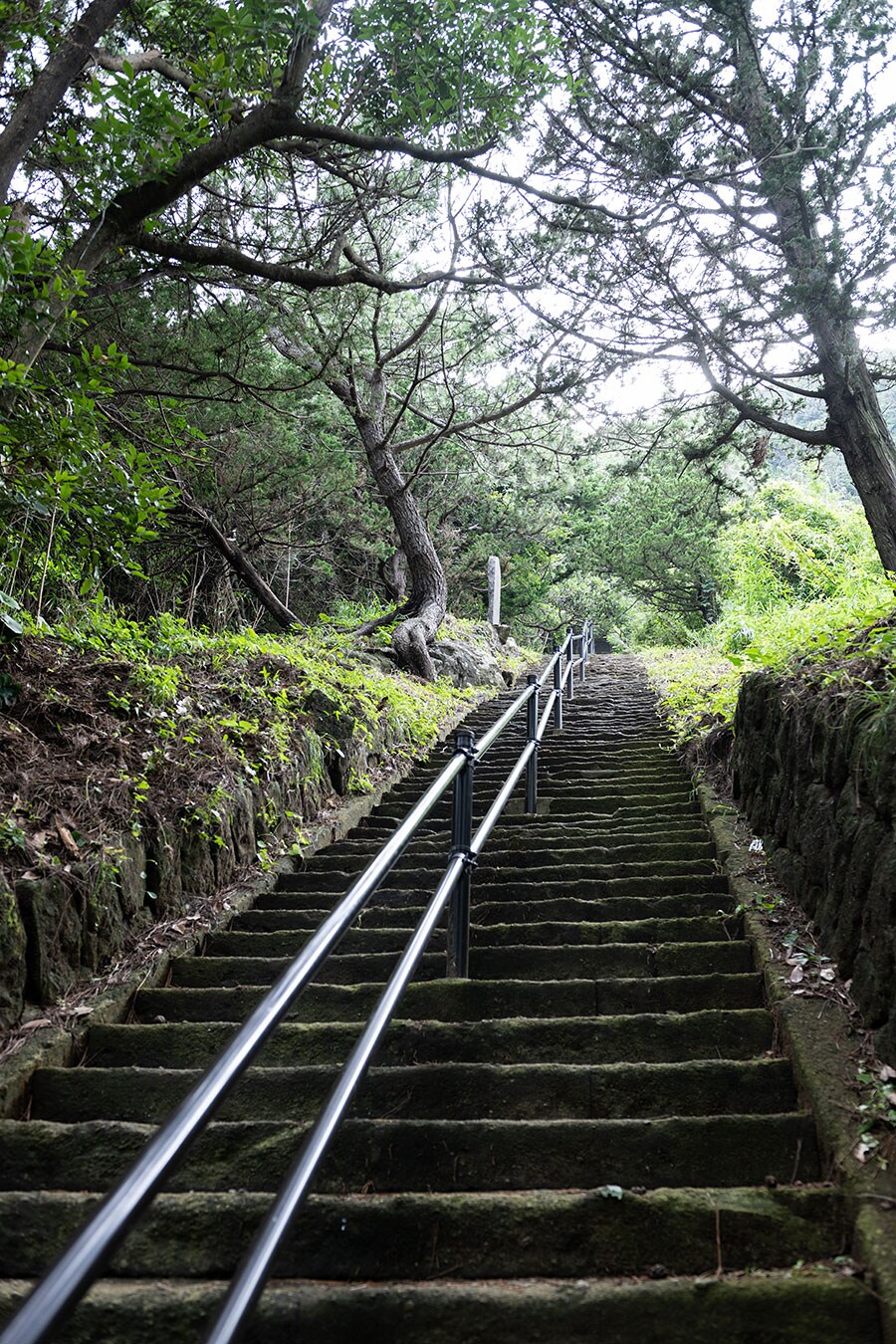 到着地点が見えないほど長くて急峻な石段が続きます。