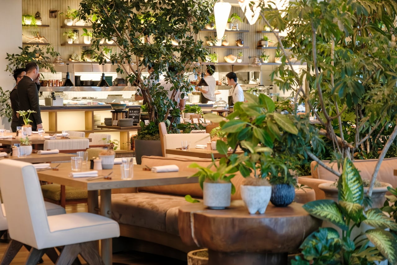 世話の行き届いたグリーンがたくさん。