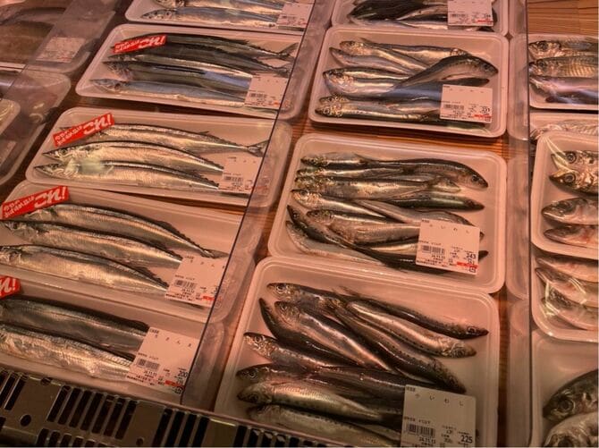 たくさん入って破格のお値段