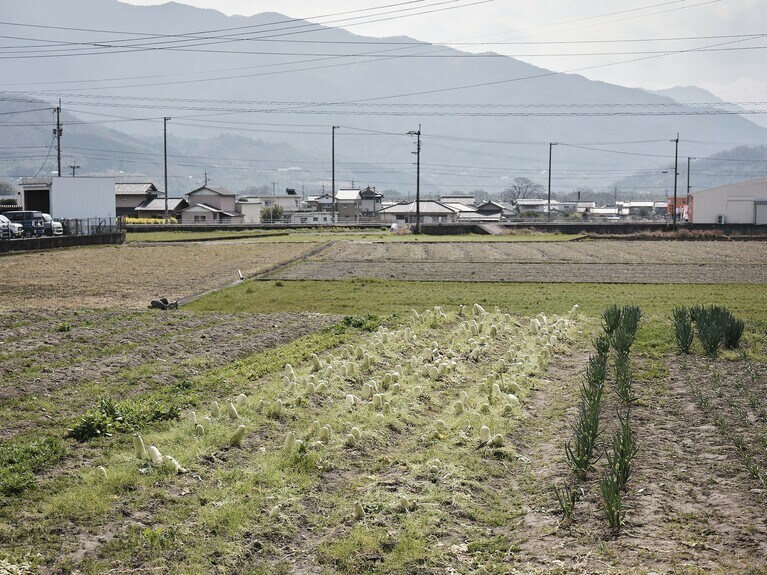 地産地消を目指す徳島工場には、母国を離れてやってきた研修生たちの姿も。敷地内の畑では、食料となるオーガニック野菜を育てている。自然を身近に感じながら、ものづくりと向き合える環境だ。