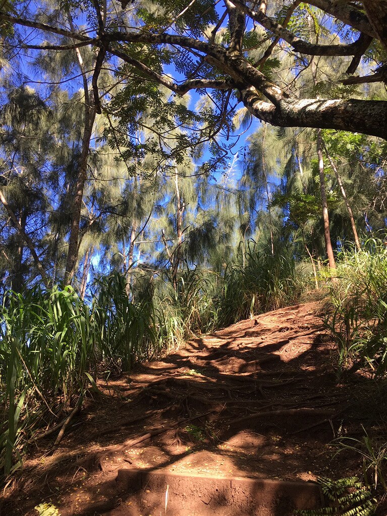 先が見えないと不安に…。左に海を見ながら登って、最後少し下るイメージです。