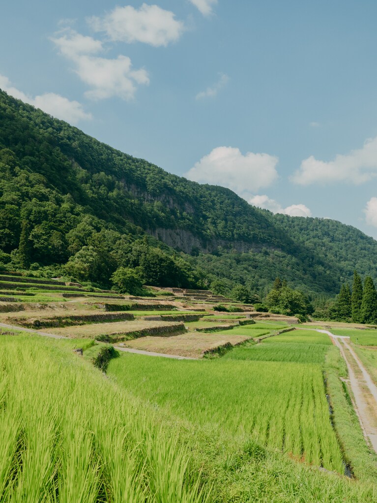 結東の石垣田。