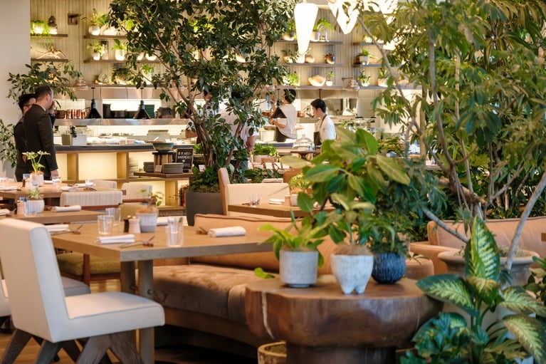 世話の行き届いたグリーンがたくさん。