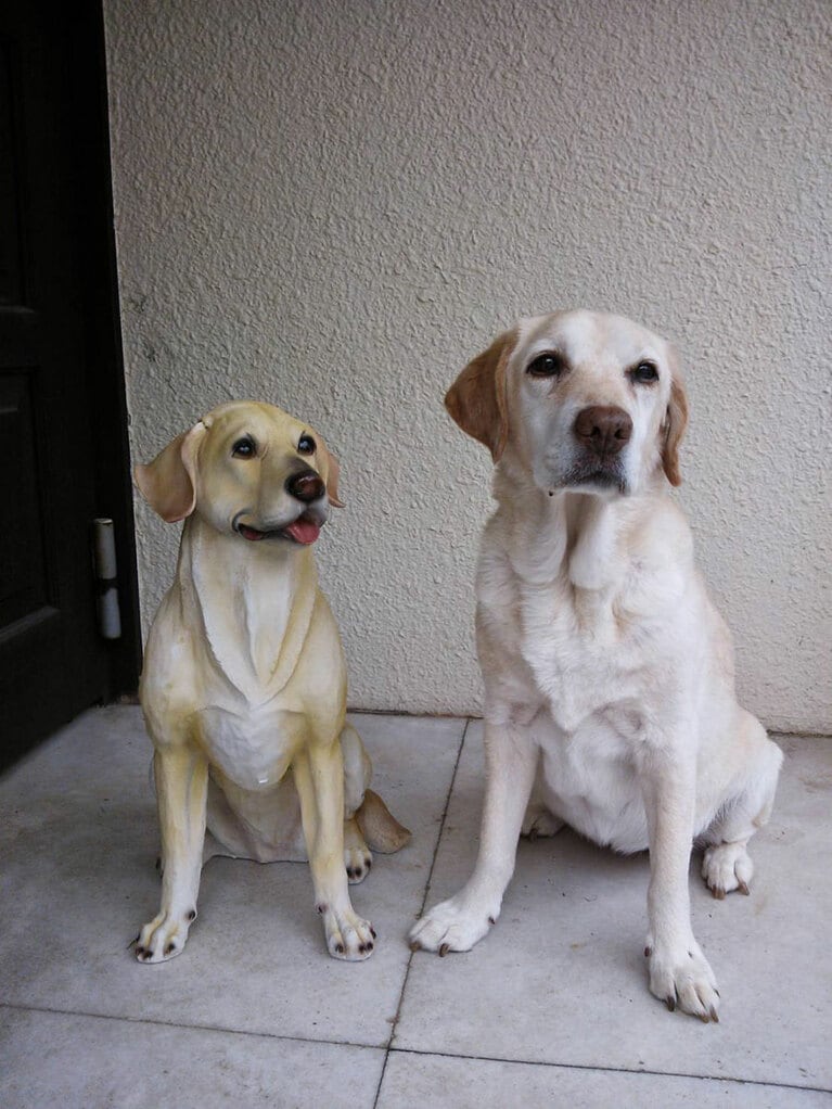 「モノマネ。」(福徳さん)