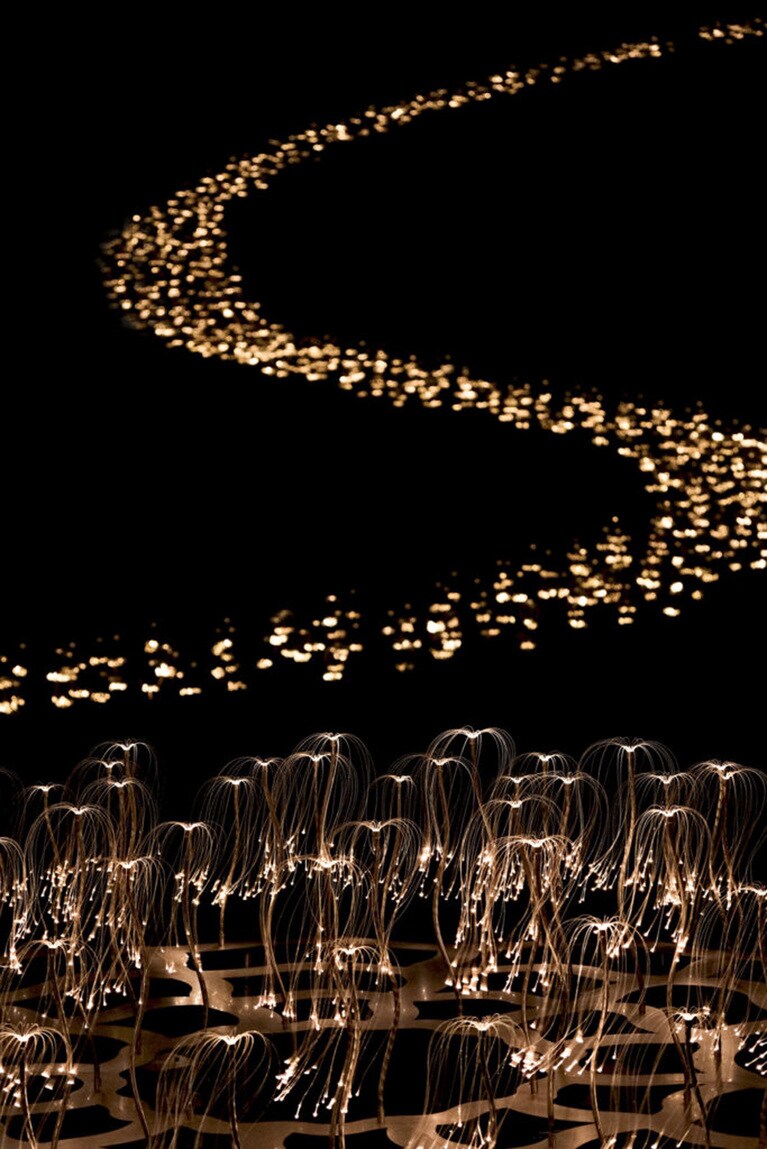 光の粒がニセコの大自然のなかで美しく輝きます。