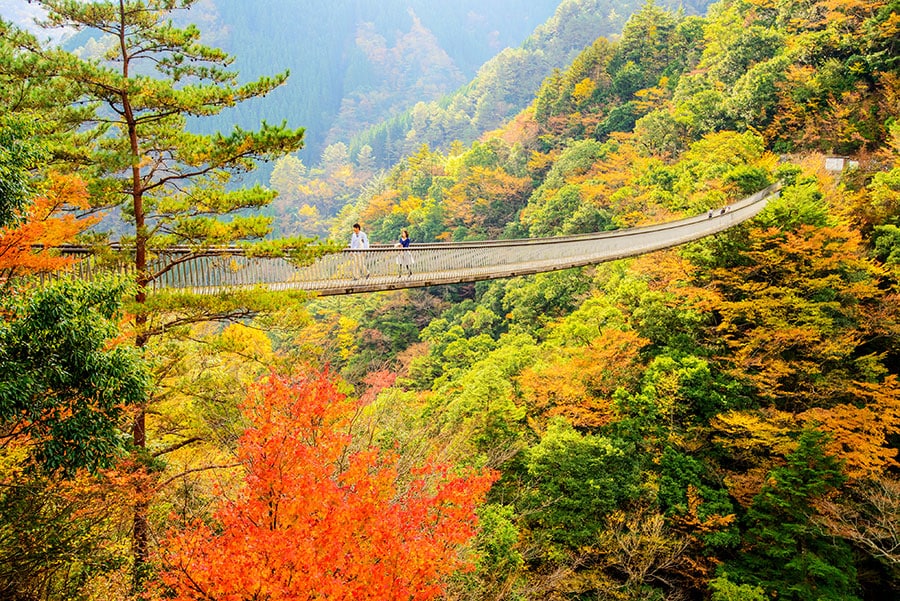 【熊本県】梅の木轟公園吊橋。