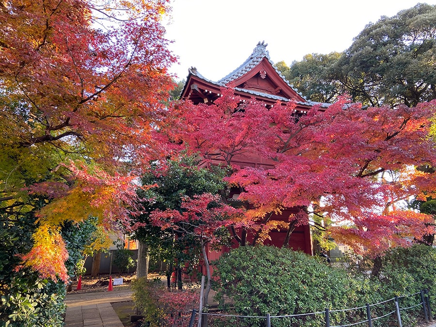 本土寺。