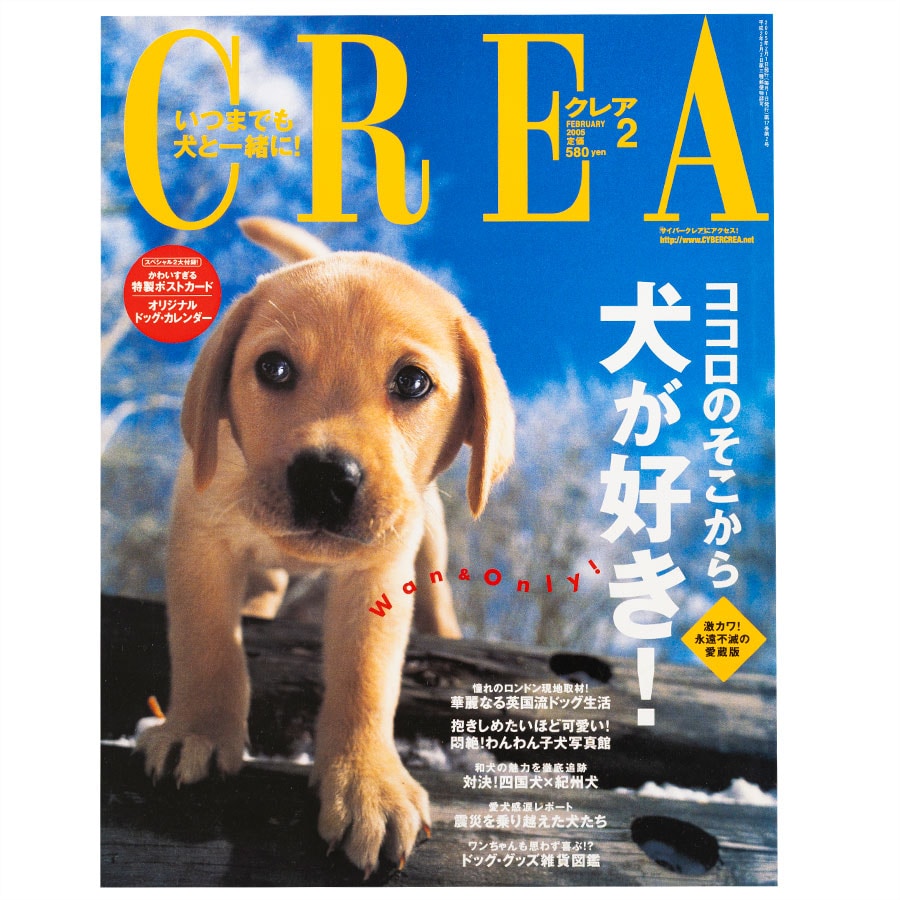 2005年2月号。