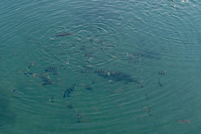 佐渡・宿根木に残る原風景に魅せられて。俳優・工藤阿須加さんと江戸時代にタイムスリップ【通いたくなる島、佐渡】