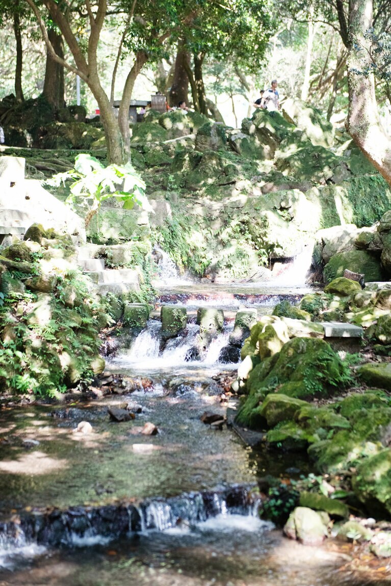 前山公園は森林浴をしながらハイキングができる美しい公園。