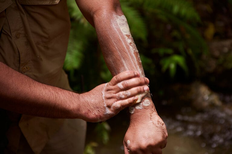 サスプレラの葉は濡らしてくしゃくしゃにすると泡が出てきて石けん代わりに。殺菌効果も。