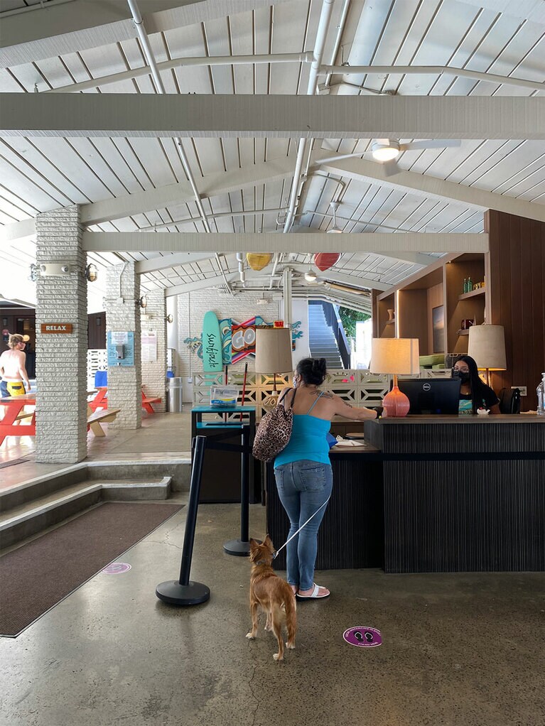 星野リゾート サーフジャック ハワイ。ペットOKなのも人気の秘密。地元のステイケーションにも利用 されています。