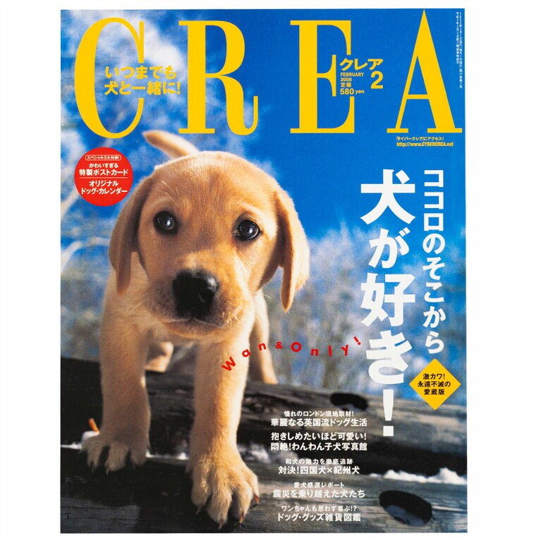 2005年2月号。