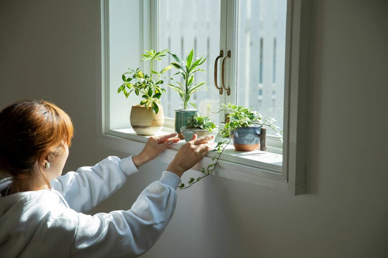 憧れの「植物のある暮らし」を始めよう！