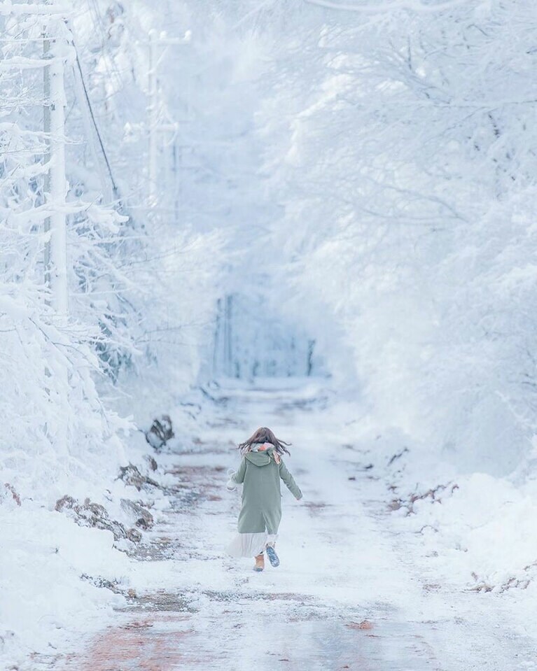 【長野県】聖高原の樹氷の森。撮影：@kzo_002（Instagramアカウント）