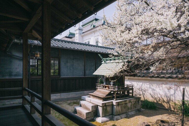 私たちが訪れたこの日は、満開のスモモの花が、うっとりする香りとともに出迎えてくれた。