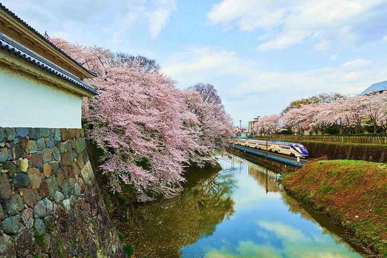 霞城公園。